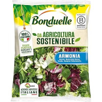 Bonduelle Armonia Insalata Mista 170g