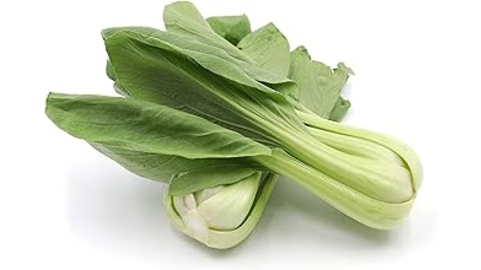 Pack Choi 300 Gr.