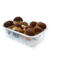 Funghi Porcini