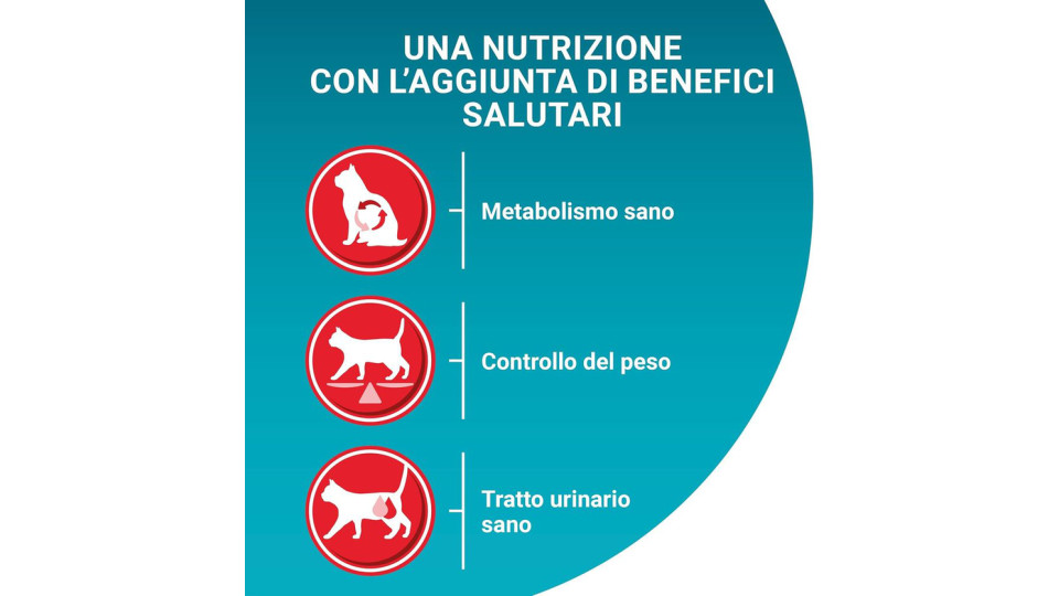 Purina One Sterilcat, Cibo per Gatti Ricco in Manzo e Frumento