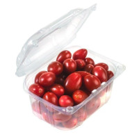POMODORO DATTERINO