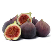FICHI NERI