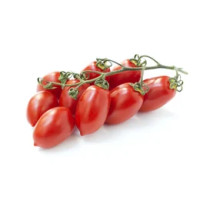 Pomodoro Piccadilly