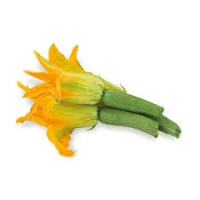 Zucchine Chiare con Fiore