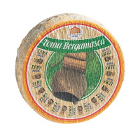 Toma Bergamasca