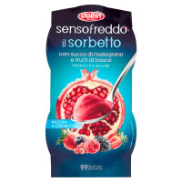 dolfin sensofreddo il Sorbetto con succo di melograno e frutti di bosco 2 x 100 ml