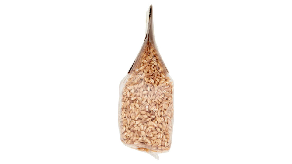 Terre d'Italia Farro Perlato di Toscana