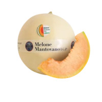 Melone Mantovano