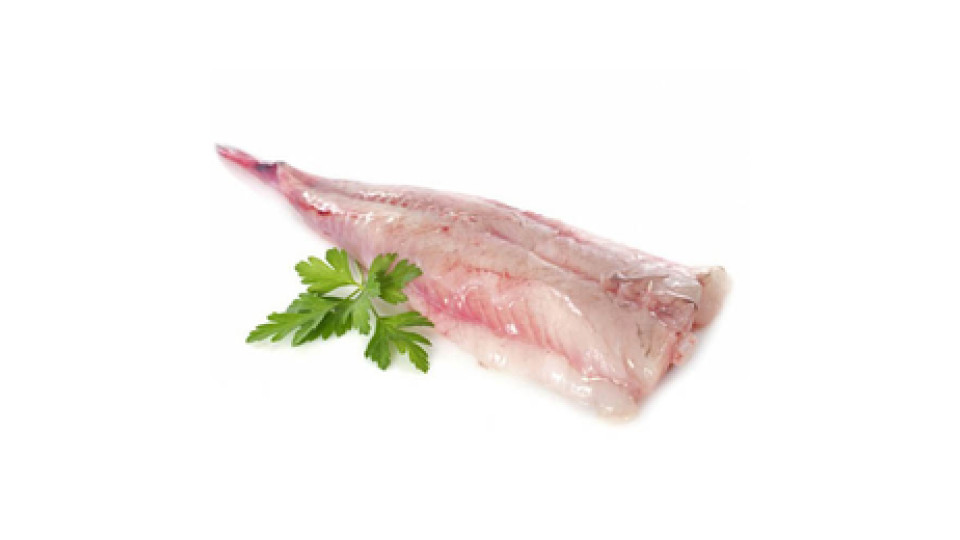 Coda di Rana Pescatrice