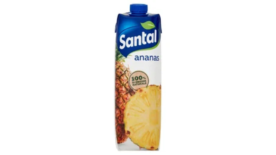 SUCCO ANANAS 100%