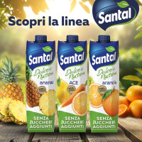 Santàl Dolce di Natura ananas Senza Zuccheri Aggiunti