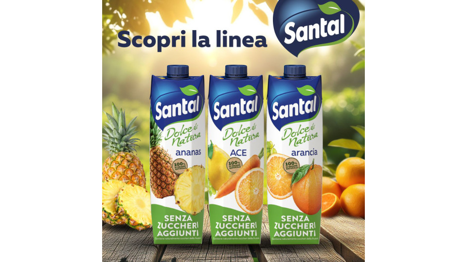 Santàl Dolce di Natura ananas Senza Zuccheri Aggiunti