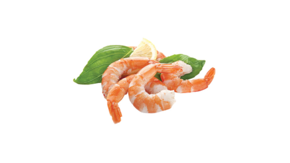 Mazzancolle
