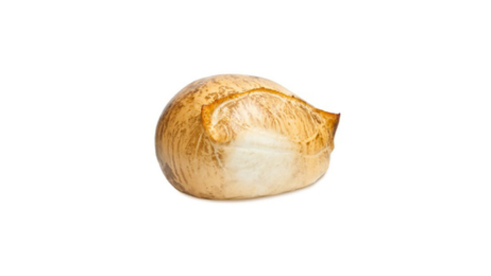 Mozzarella di Bufala DOP Affumicata “La Saporosa”