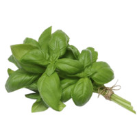 Basilico bouquet