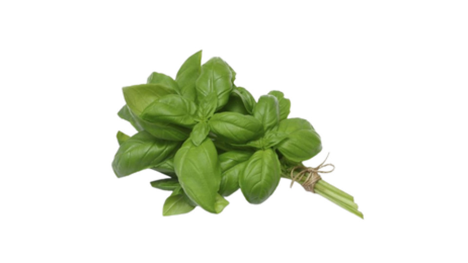 Basilico bouquet