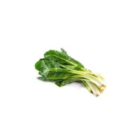 Bietina sfusa origine Italia
