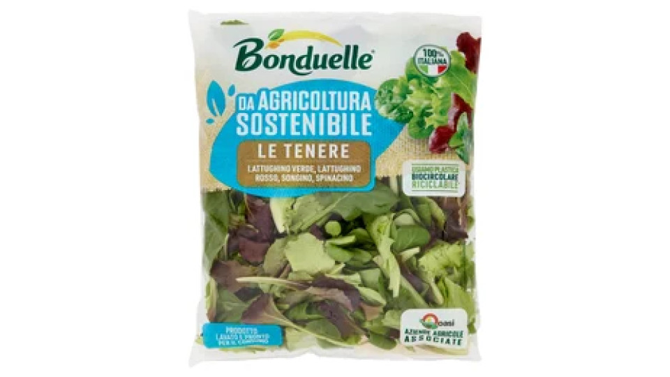 Bonduelle le Tenere 125 g