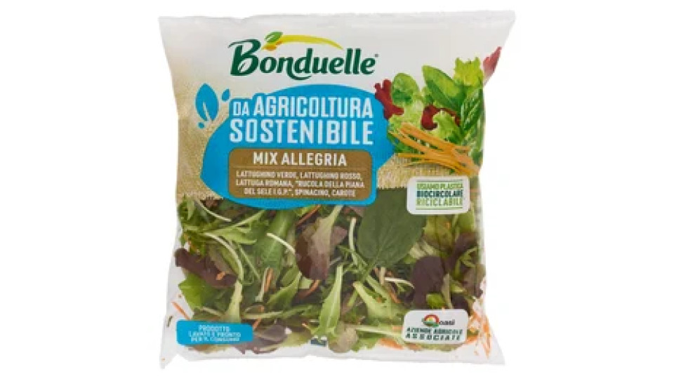 Bonduelle Mix Allegria 125 g