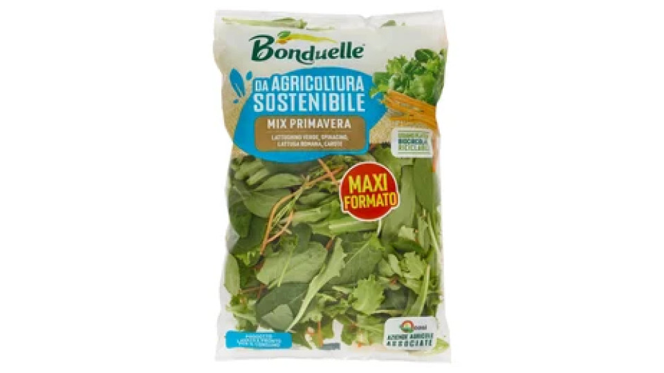 Bonduelle Mix Primavera 200 g