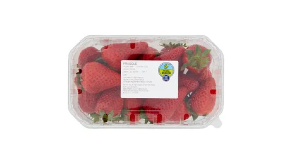 Carrefour Fragole Filiera Qualità 500 g