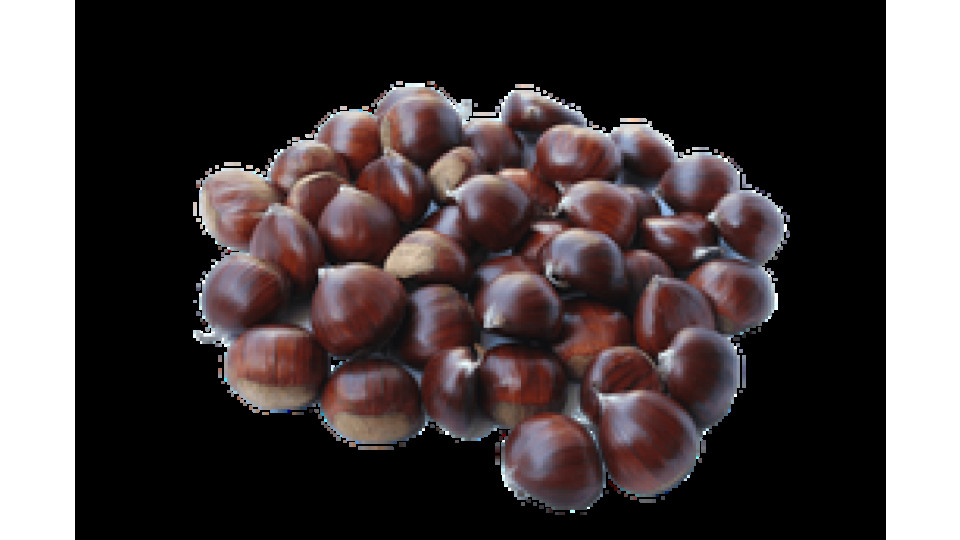 Castagne 1 kg