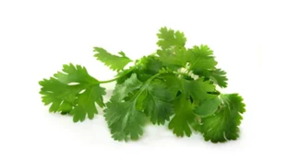 Coriandolo 30 g 1 €