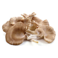 Filiera Qualità Carrefour Funghi Plerotus