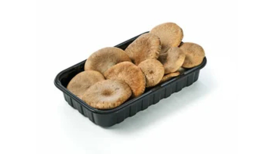 Funghi cardoncelli coltivati
