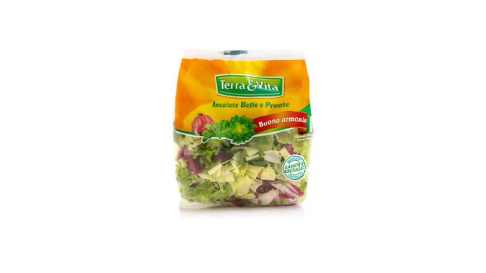 Insalata Buona armonia