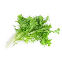Insalata Cicoria Milano Sfusa