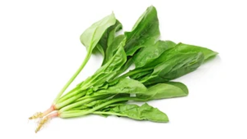 Insalata cicorino a mazzetti sfuso