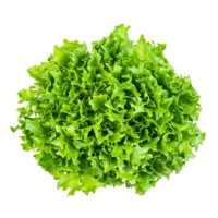 Insalata scarola sfusa categoria I