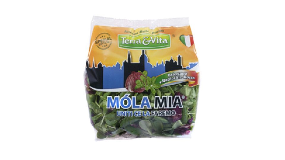 Insalatina pulita Mix Valeriana e Radicchio Rosso