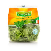 Insalatina Tagliata e Lavata