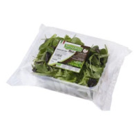 Insalatina Tagliata e Lavata Bio
