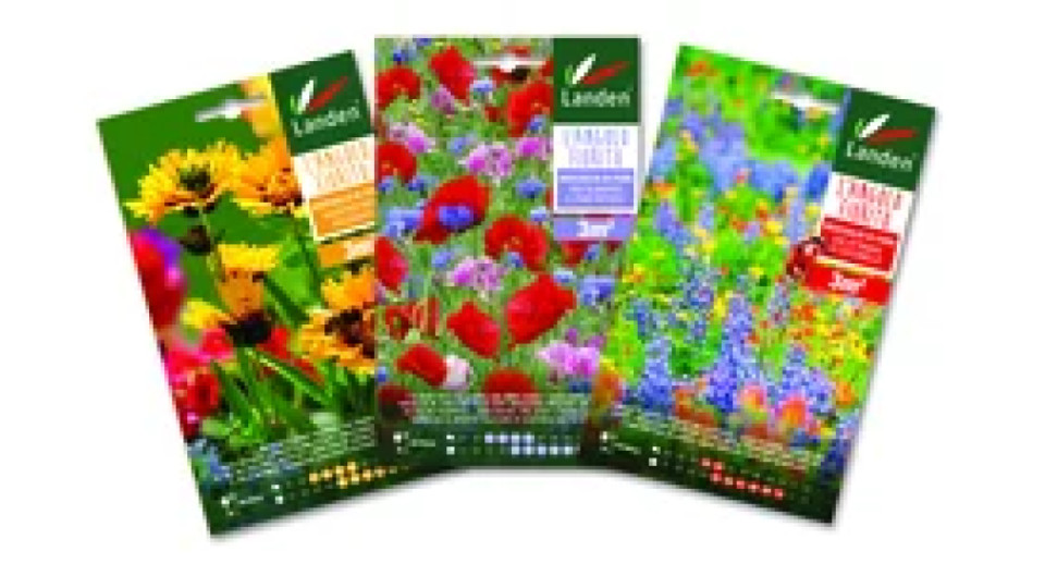 Landen Buste assortite semi di fiori l'angolo fiorito semi di fiori