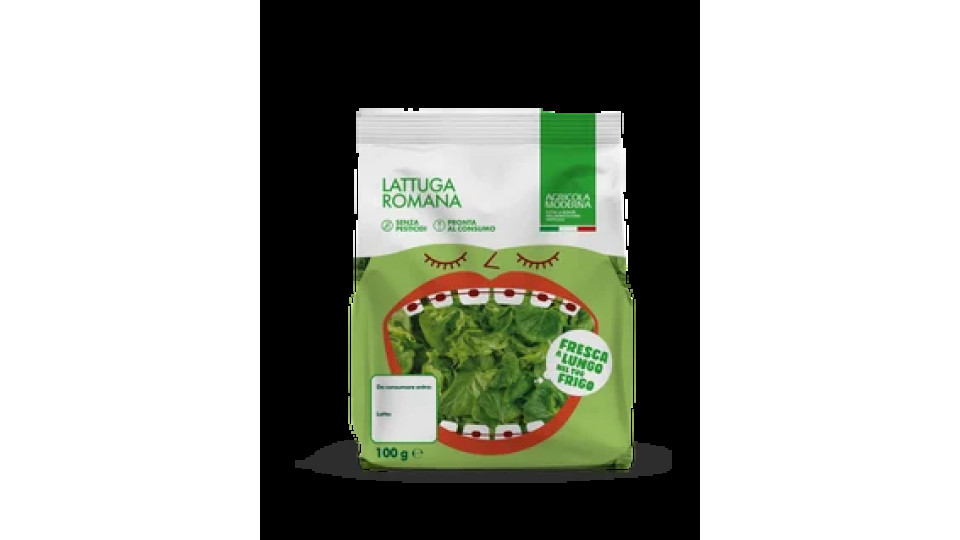 Lattuga Romana