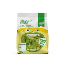 Lattughino Biondo
