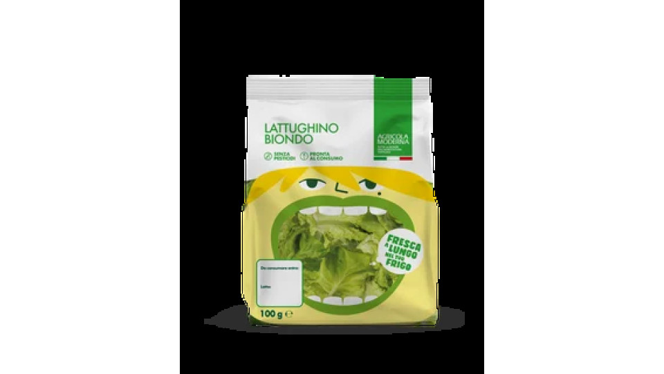 Lattughino Biondo