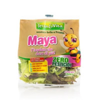 Maya L'Insalata che Dura di Più