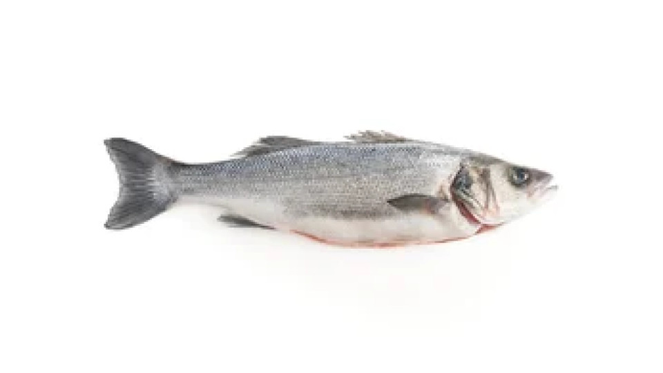 Branzino Allevato Italia 400/600 Filiera Qualità Carrefour