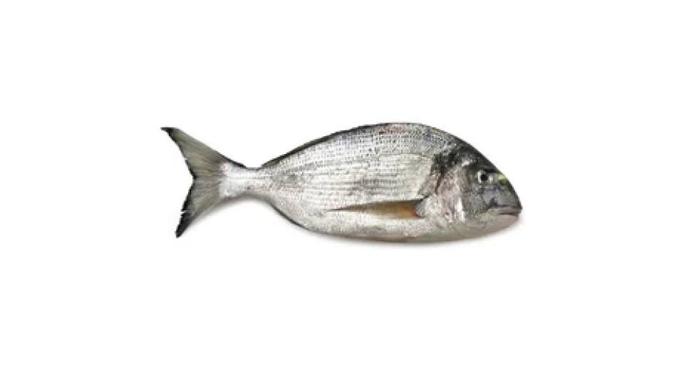 Orata Allevata Italia 400 g Filiera Qualità Carrefour