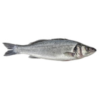 Branzino di Orbetello Terre d'Italia