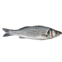 Branzino Pulito Allevato 350 g Calibro 300/400