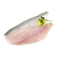 Filetti di Orata Allevata Croazia