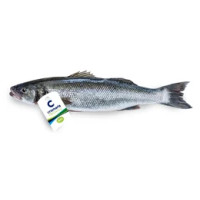 Branzino Allevato Biologico Fresco Intero