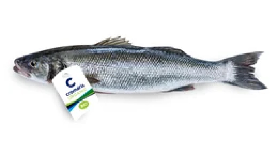 Branzino Allevato Biologico Fresco Intero