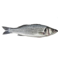 Branzino Croazia Allevato nel Mar Adriatico 600/800