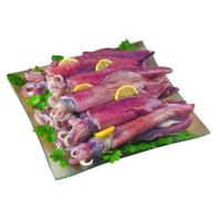 Calamari pescati Oceano Atlantico con reti da traino